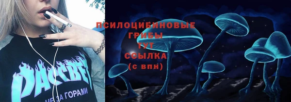 меф Няндома