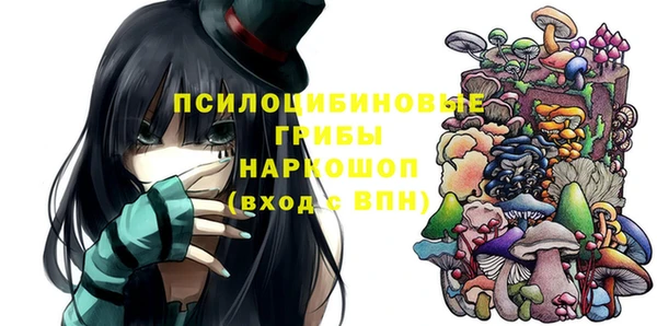 МДПВ Алзамай