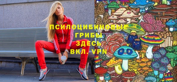 МДПВ Алзамай