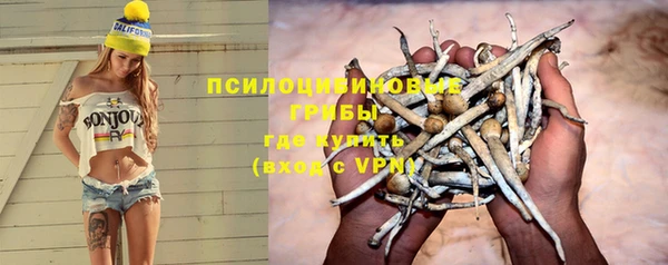 МДПВ Алзамай
