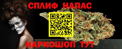 сатива Брянск