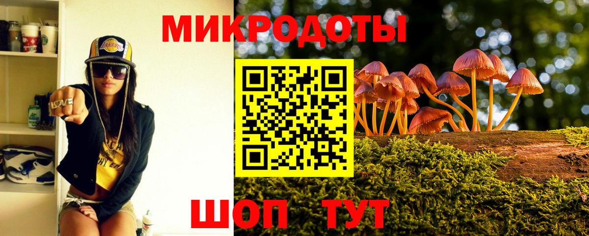 Галлюциногенные грибы Psilocybine cubensis Морозовск