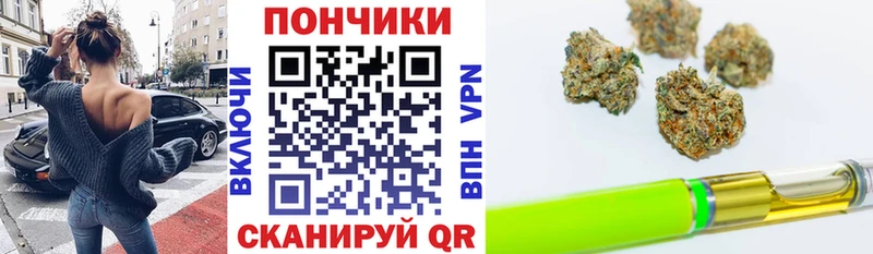 Каннабис сатива  Морозовск 